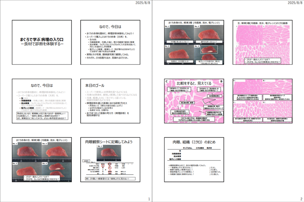 サシミクロ™体験ワークショップ資料抜粋