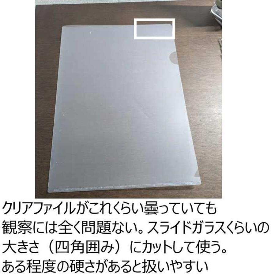 クリアファイルを小さく切ってスライドガラスに代用する