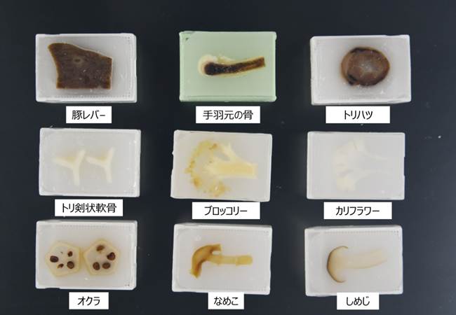 標本を作るもとになるFFPEブロック。単に「ブロック」とも呼んでいる。ハツは心室のレベルで横断した。ブロッコリーは標本作製過程で脱色されてしまった。オクラの種は黒く変色した。酸化によるもの？