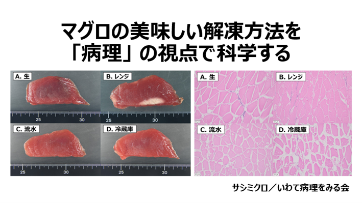 ピッチトークスライド。30秒で何かを説明するのは難しいと思ったので、説明することをやめました。メイン企画で用いたマグロのマクロとミクロをばばーんと掲示。なんだこれはというどよめきを生んだと記憶しています。