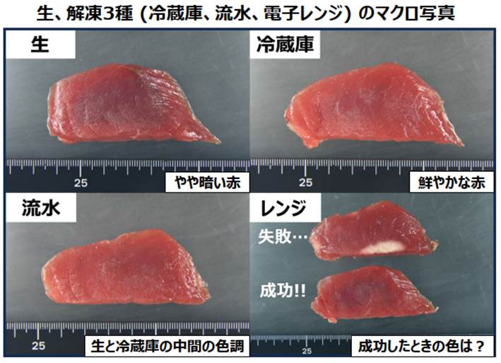 鮮やかな赤を示している冷蔵庫解凍を、生である（一番美味しそう）と考えた参加者が多かった。ミオグロビンが酸化されて鮮やかな赤を呈している可能性がある。酸化が進んでいない、すこし暗い色をしたものが生であった。電子レンジ解凍も、上手く行けば美味しいかもしれない。